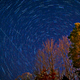 Illustration for article titled Our favorite photos from this years Geminid meteor shower